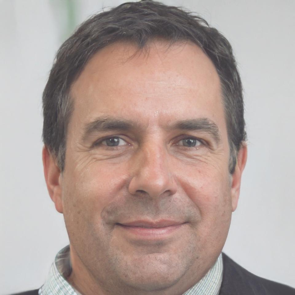 Director de Desarrollo de Socios